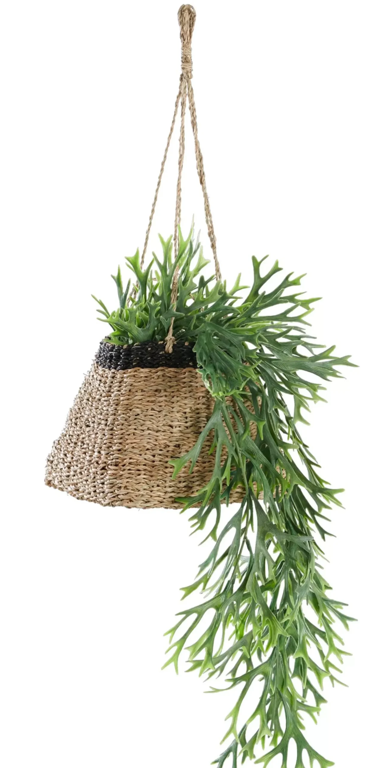 Colgadores Para Plantas<CASA Baku Macetero Colgante Negro, Natural