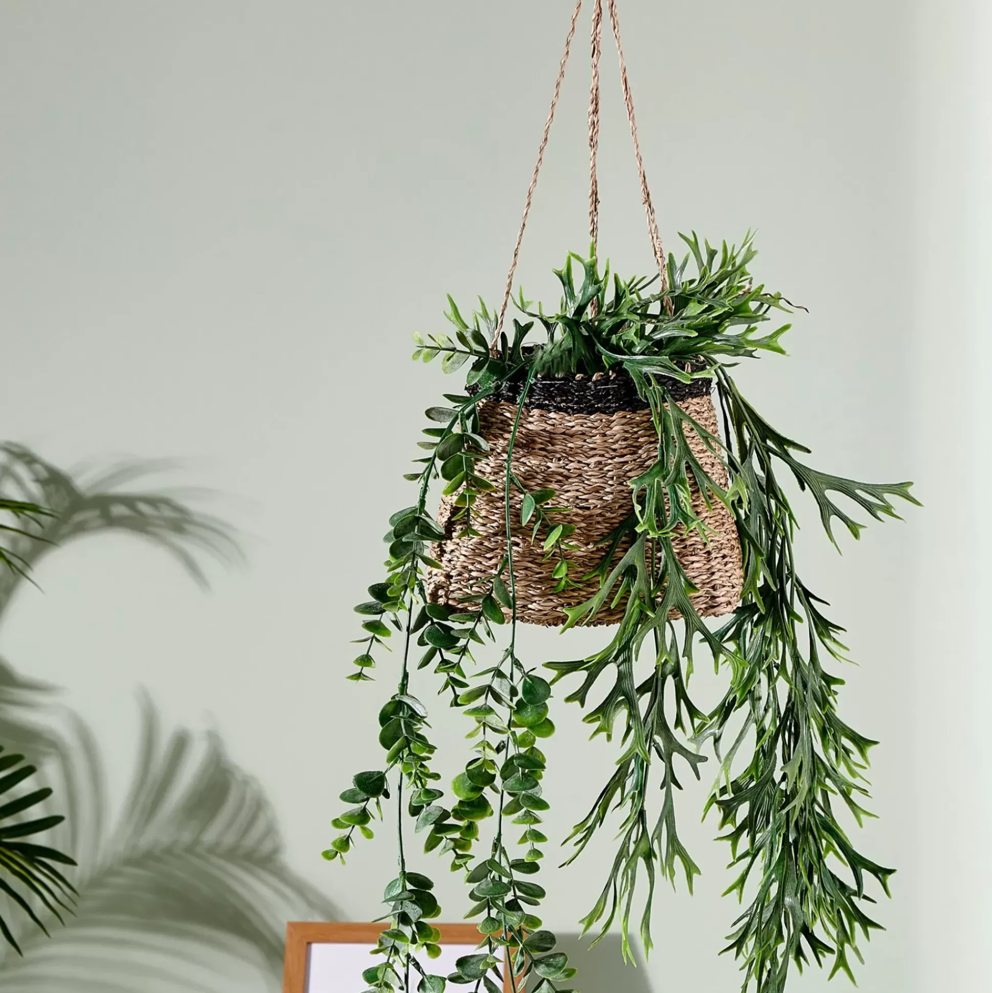 Colgadores Para Plantas<CASA Baku Macetero Colgante Negro, Natural