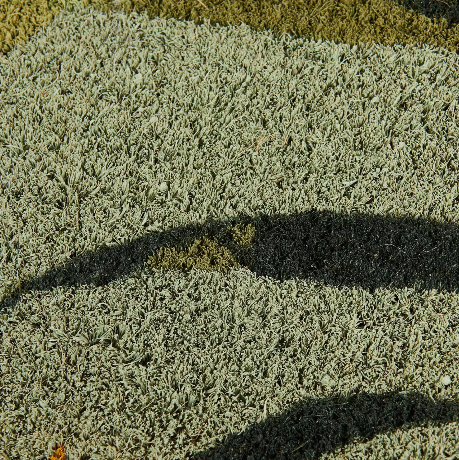 Felpudos<CASA Bambou Felpudo Verde