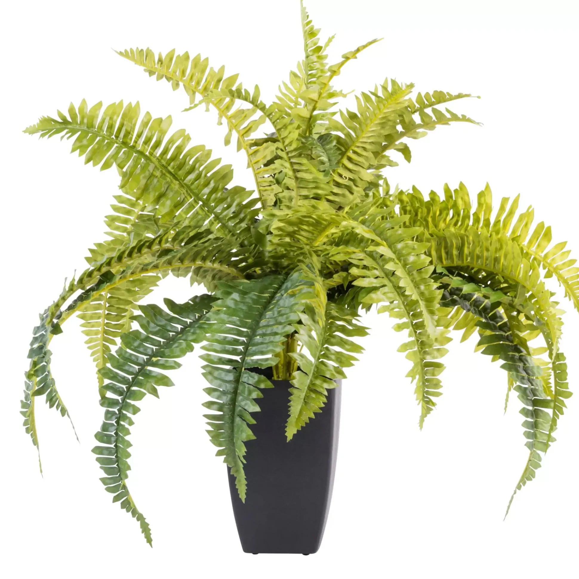 Plantas Artificiales<CASA Boston Planta Helecho Verde