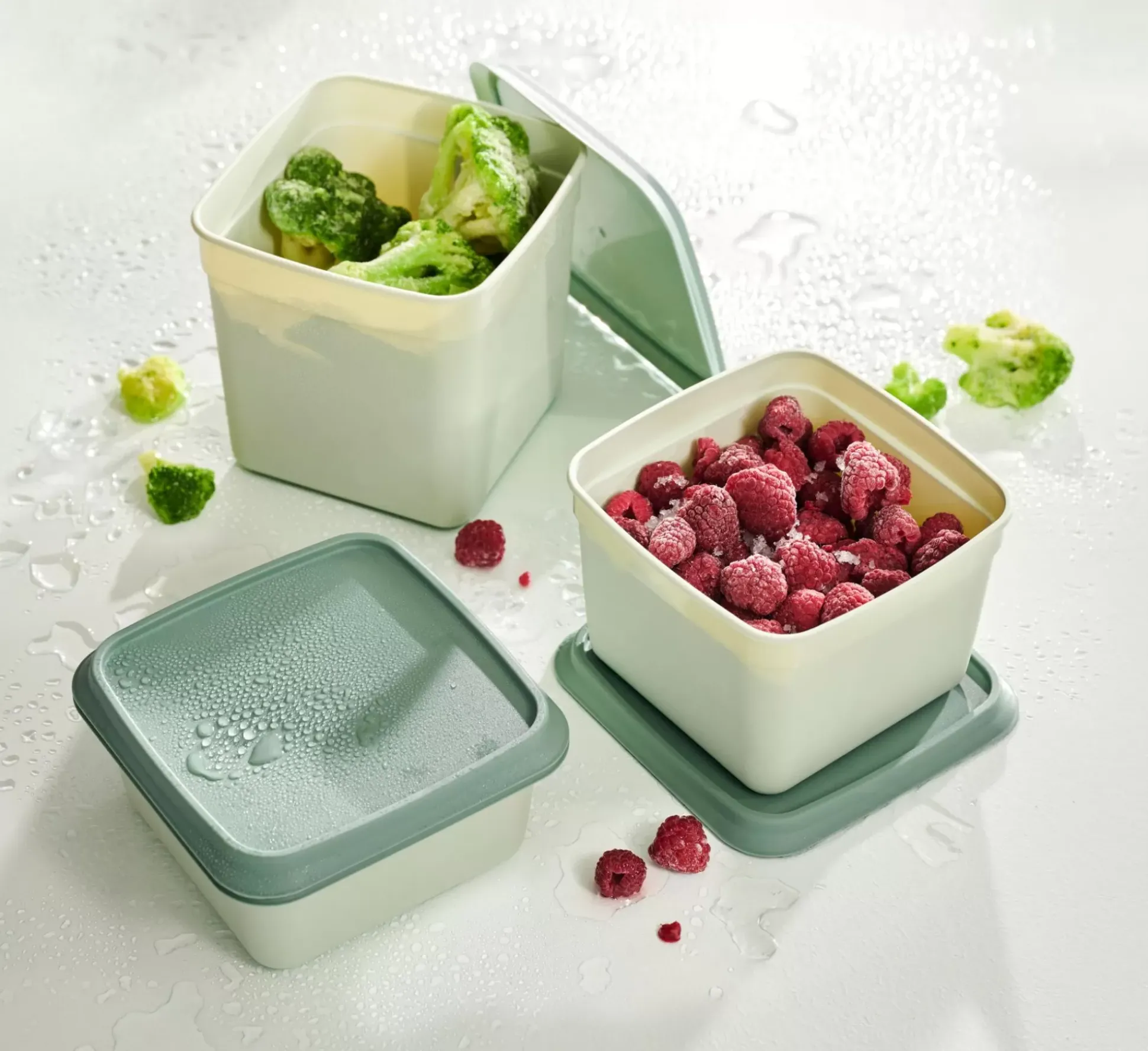 Taperes<CASA Freezer Cajas Congeladoras Juego De 10 Menta, Verde Oscuro