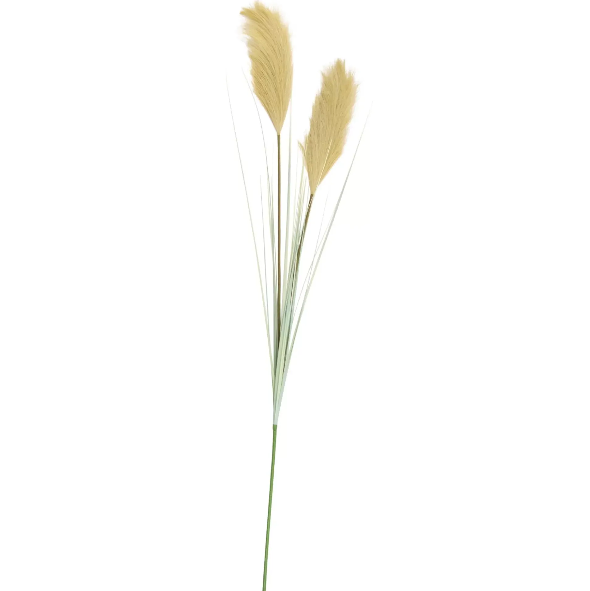 Ramos Artificiales<CASA Grass Cana Con Pluma Verde