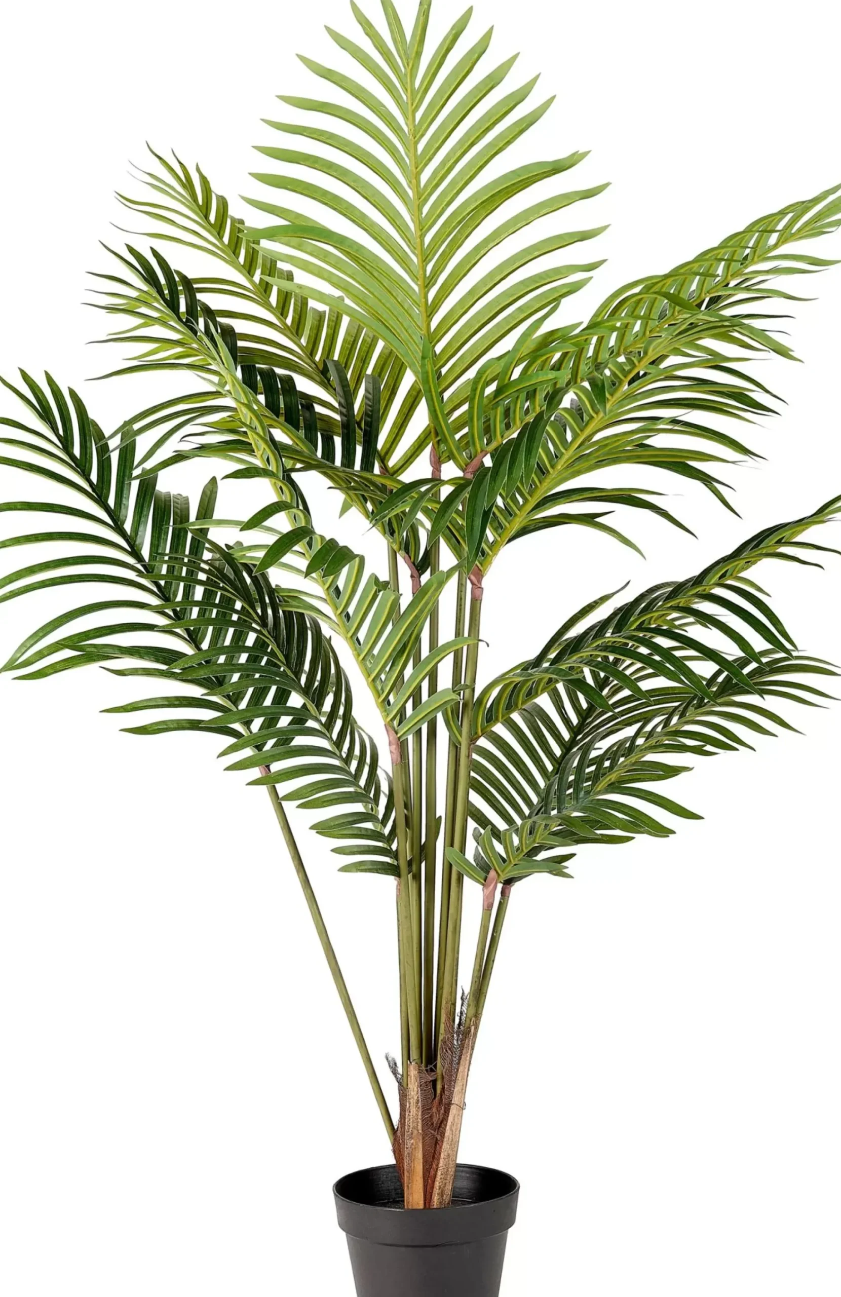 Plantas Artificiales<CASA Kwai Palmera Verde