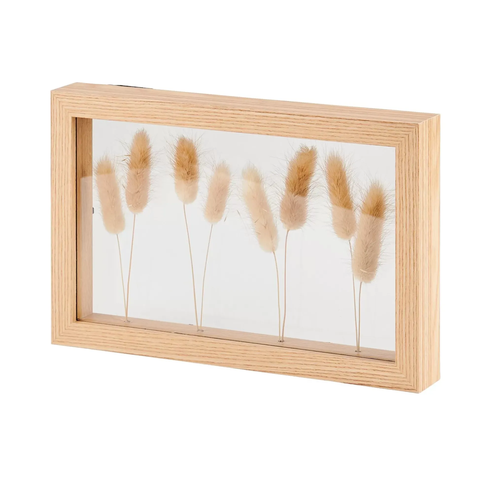 Decoracion De Pared<CASA Lagurus Decoracion De Pared Natural