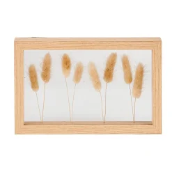 Decoracion De Pared<CASA Lagurus Decoracion De Pared Natural