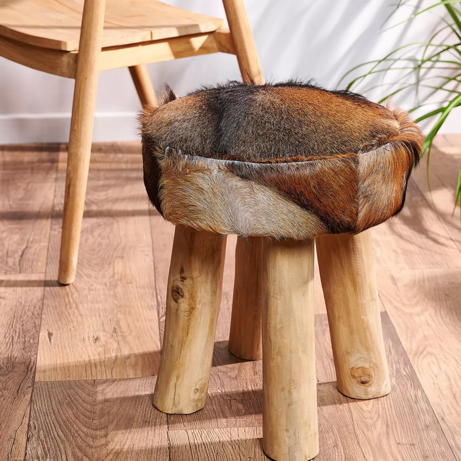 Taburetes<CASA Marie Taburete Varios Colores