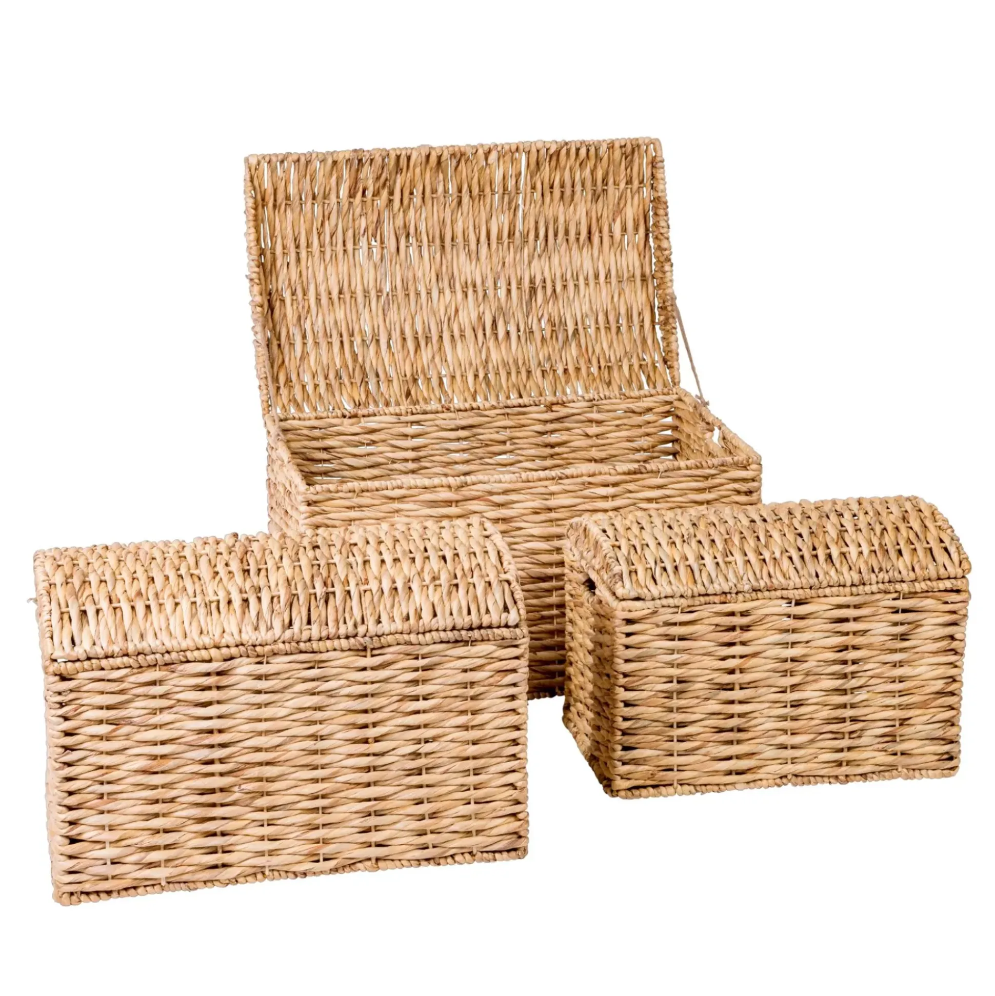 Arcas Para Almacenaje<CASA Miley Maleta Para Natural