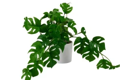 Plantas Artificiales<CASA Monstera Planta Varios Colores, Blanco, Verde