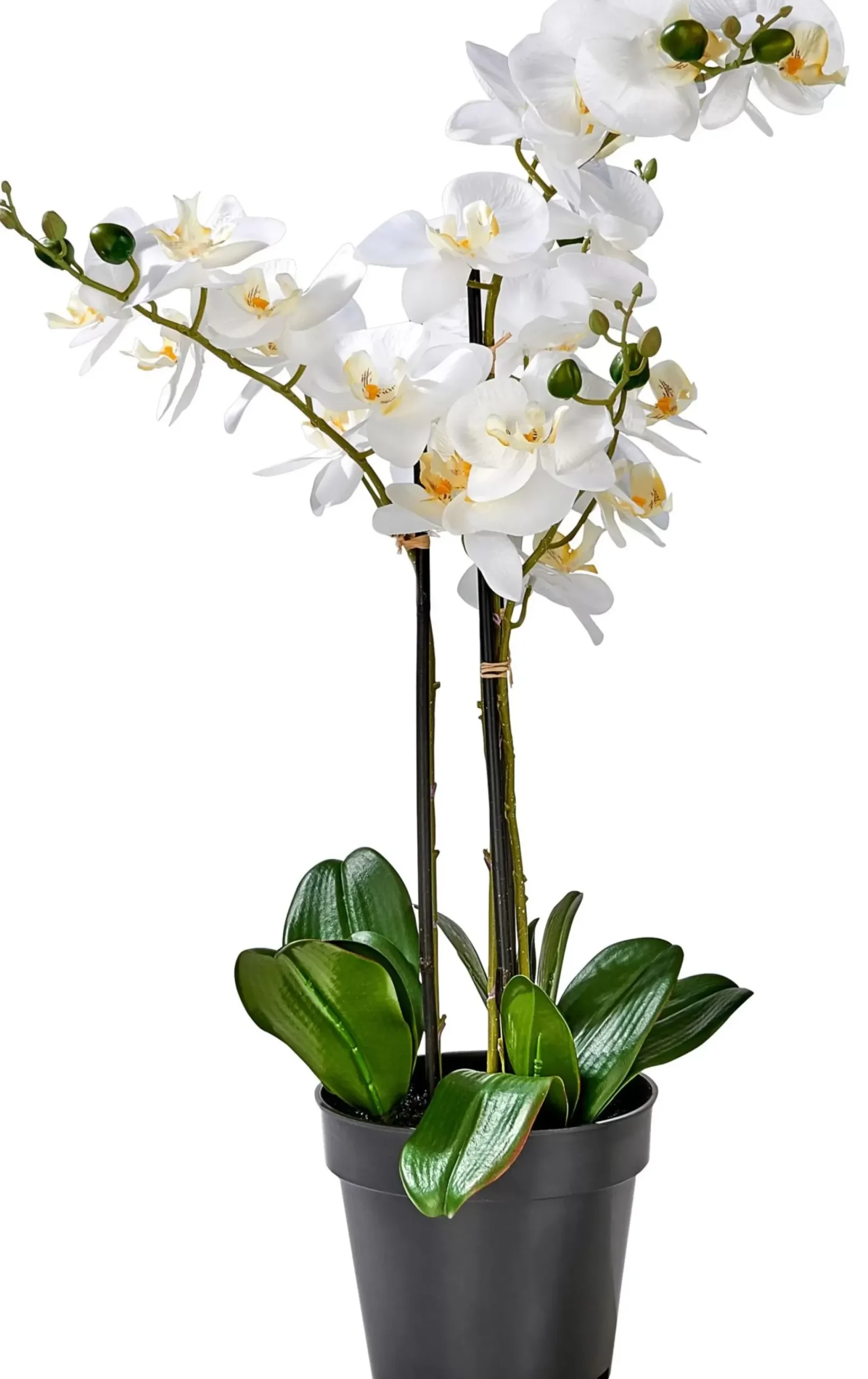 Plantas Artificiales<CASA Orchid Orquidea En Maceta Blanco