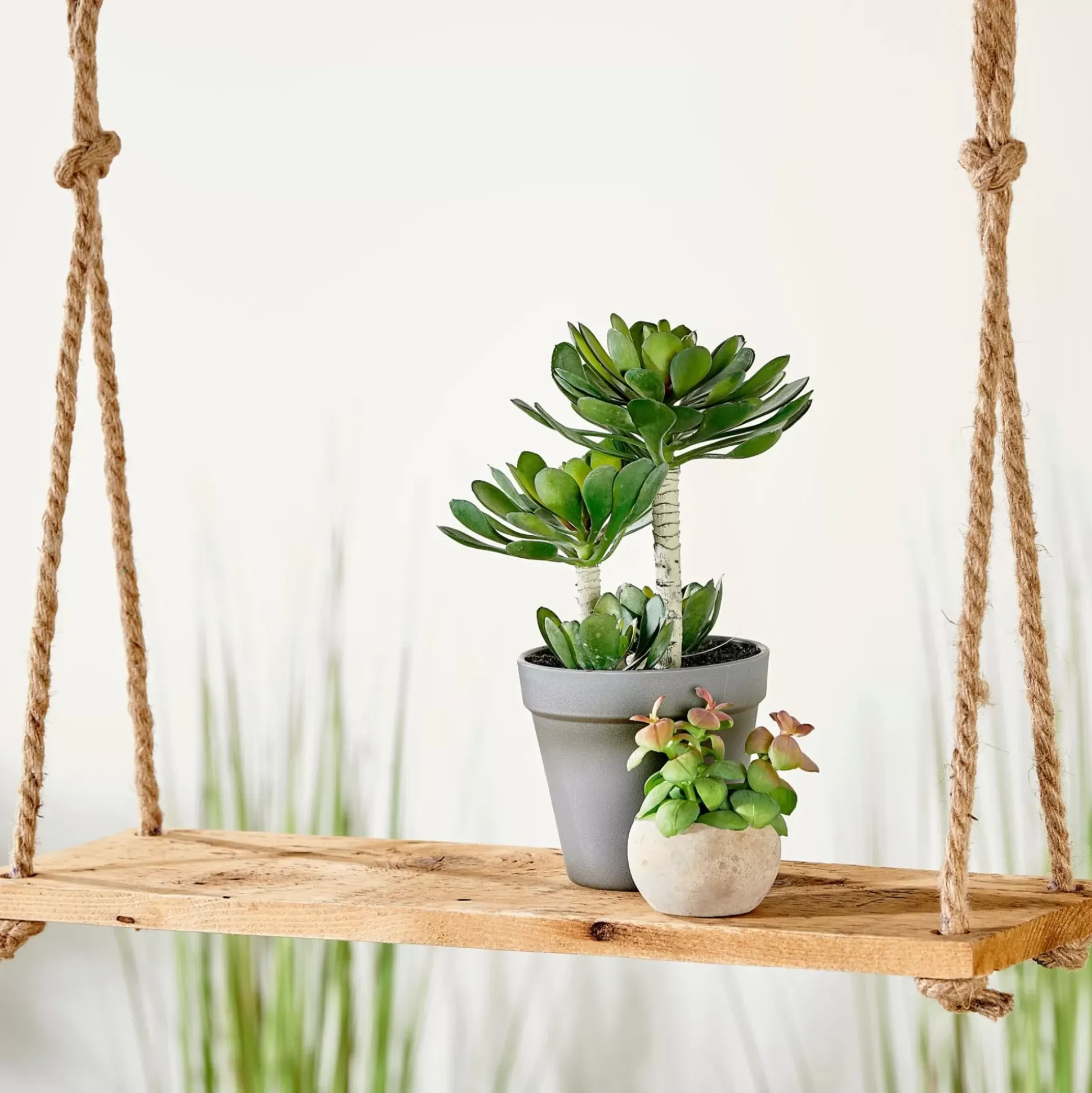 Colgadores Para Plantas<CASA Recycle Deco Para Colgar Natural