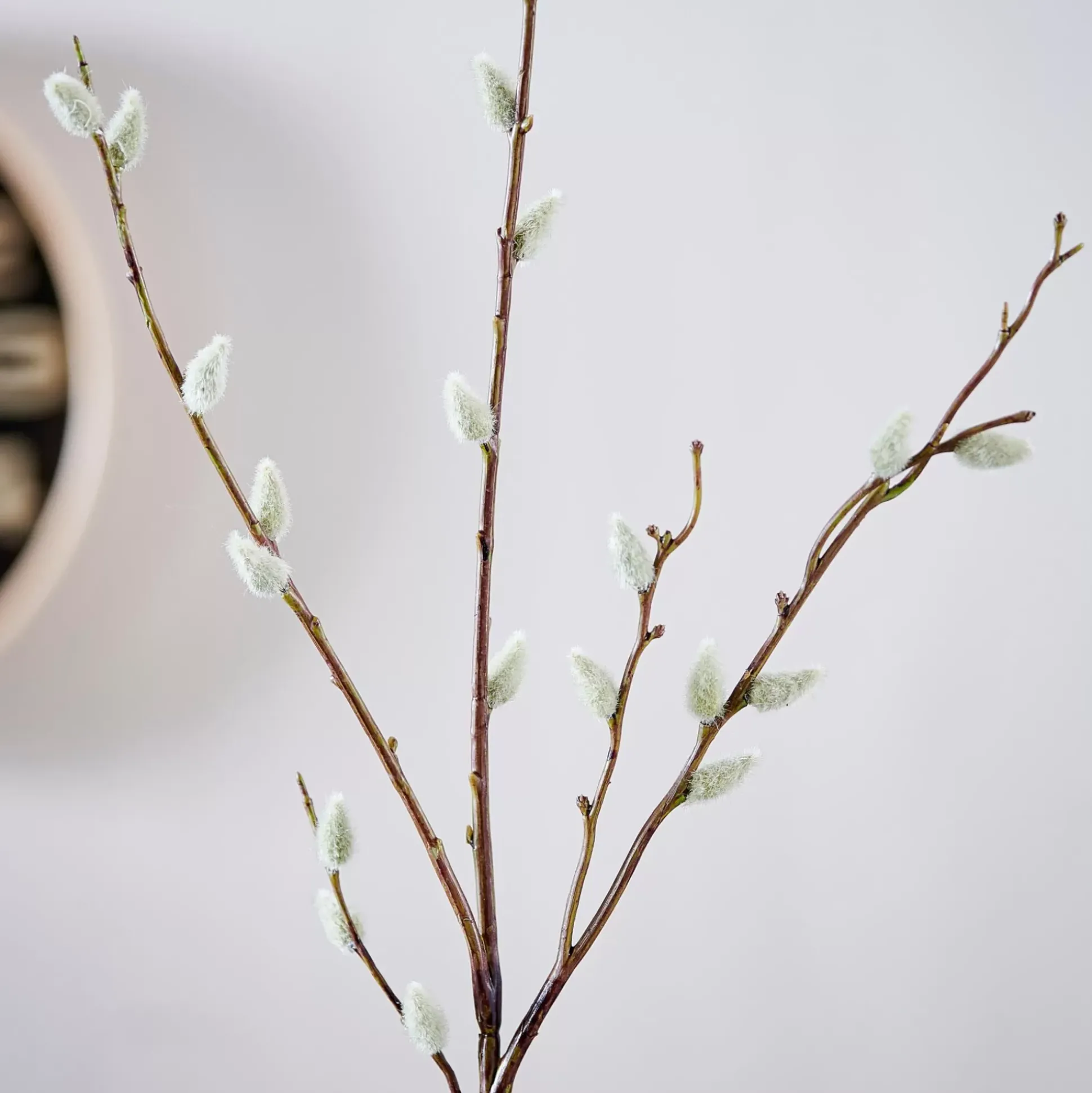 Ramos Artificiales<CASA Salica Rama Sintetico Verde