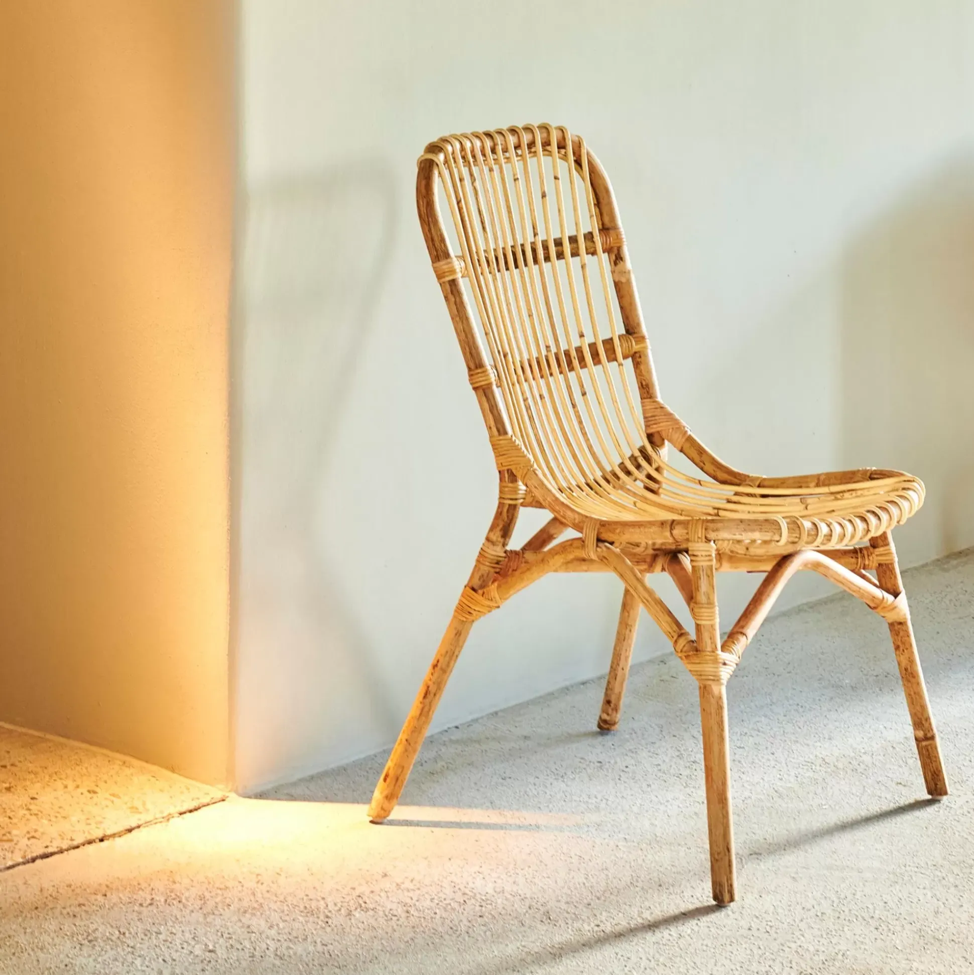 Sillas De Comedor<CASA Simba Silla De Comedor Ancho Asiento: 42 Cm