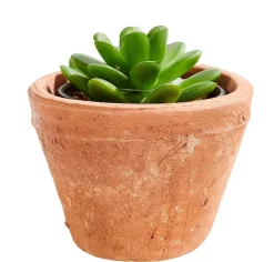 Macetas<CASA Tierra Macetero Terracota