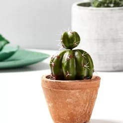 Macetas<CASA Tierra Macetero Terracota