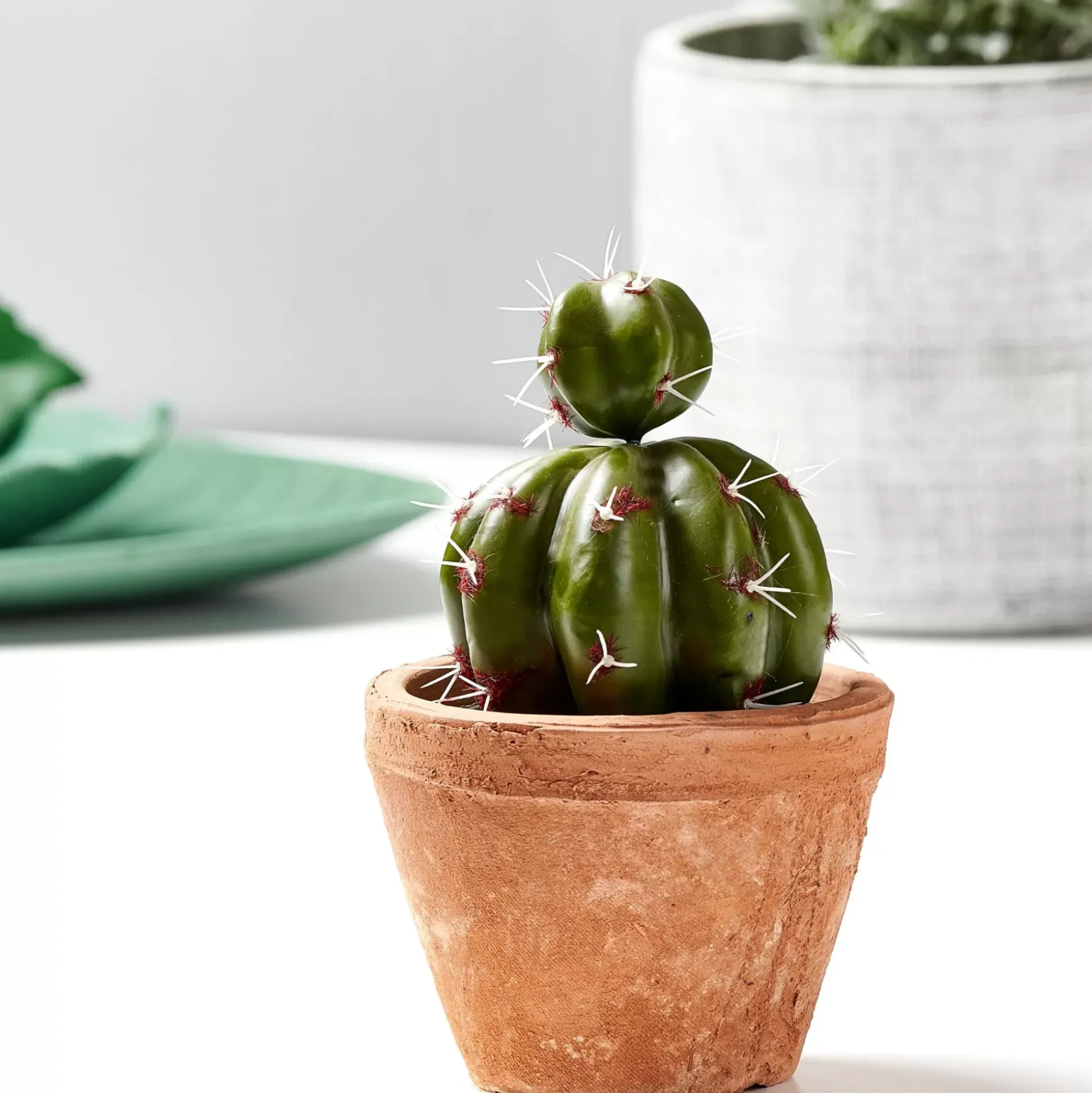 Macetas<CASA Tierra Macetero Terracota