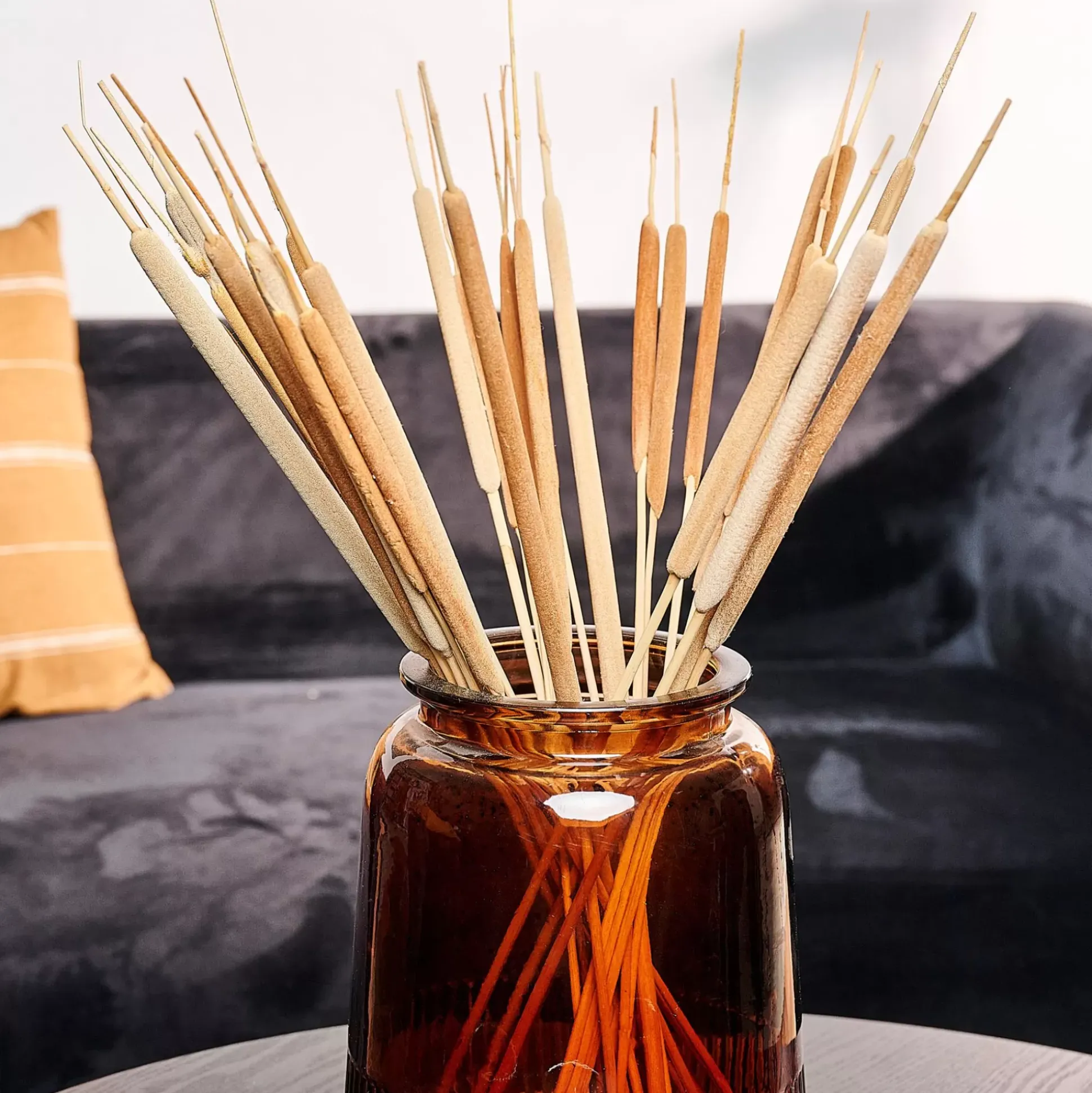 Flores Artificiales<CASA Typha Canas Juego De 15 Natural