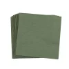 Servilletas<CASA Uni Paquete De 20 Servilletas Verde
