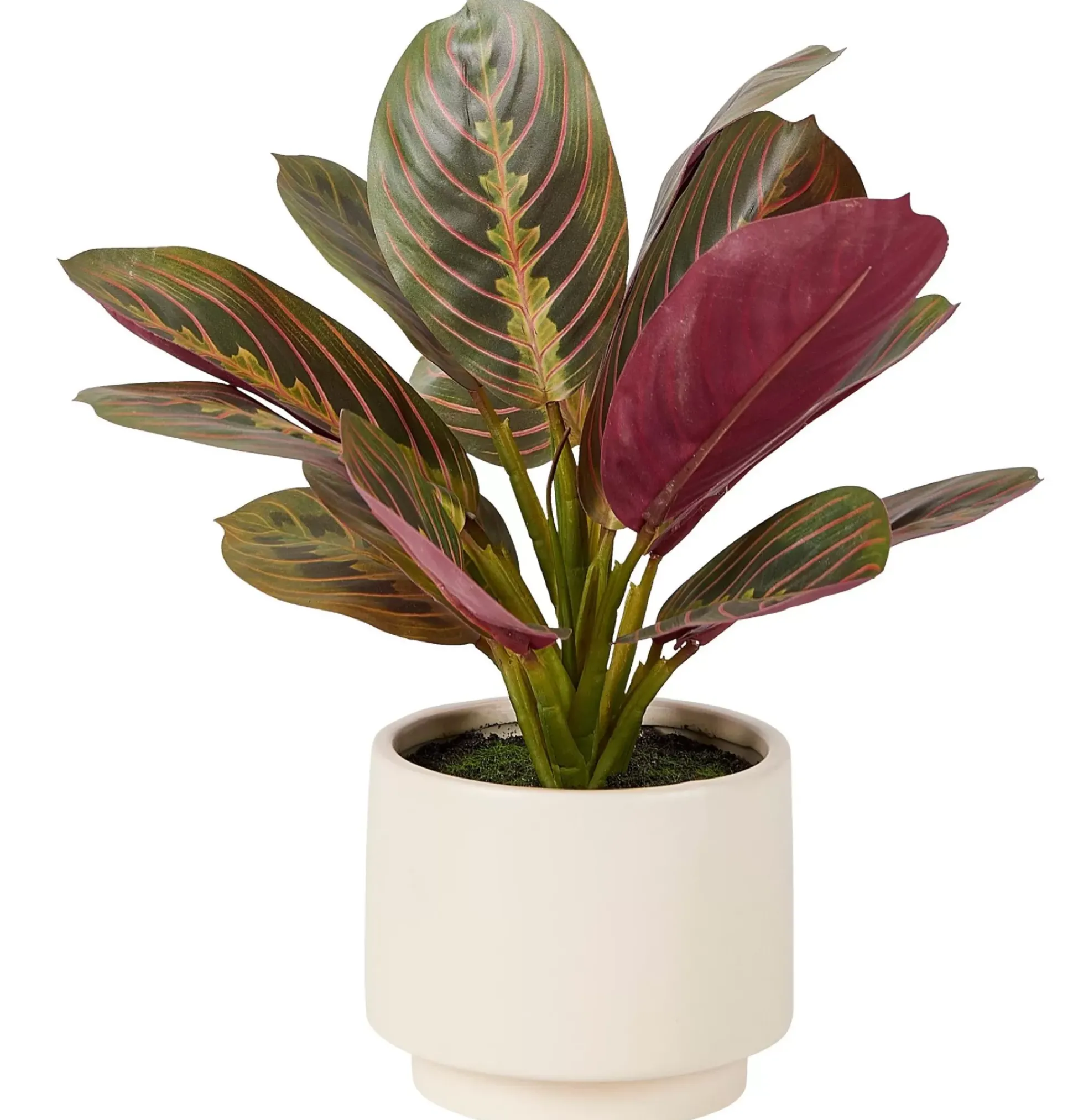 Plantas Artificiales<CASA Zebrina Planta Artificial